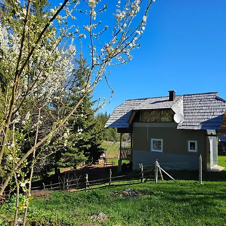 Planinska Prica * Ljenobud
